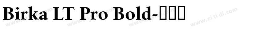 Birka LT Pro Bold字体转换